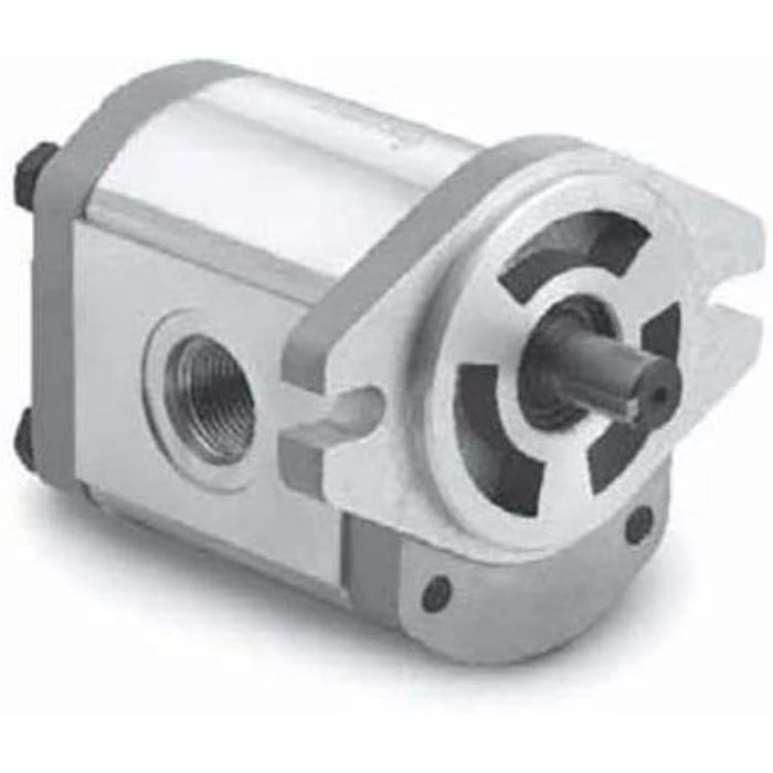 Gear Pump