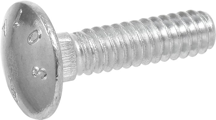 Carriage Bolt