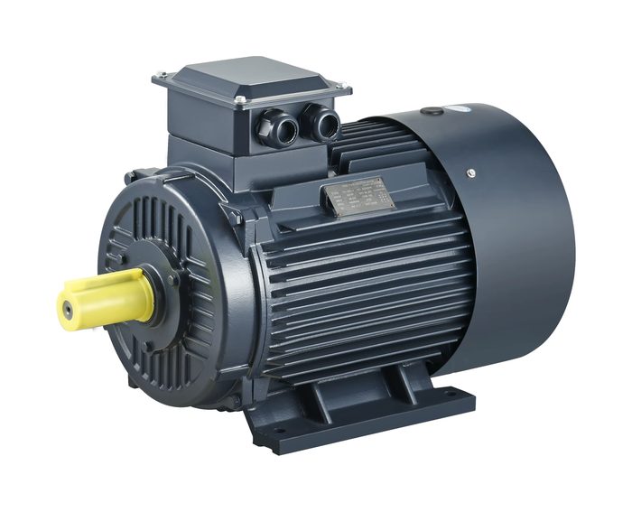 Three-Phase AC Induction Motor