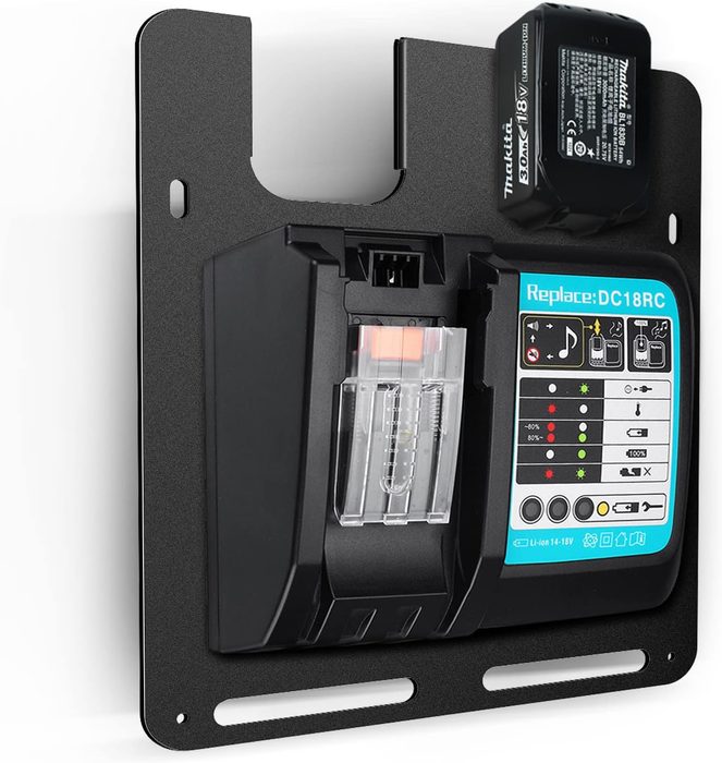 110V Manual Wall Mount Battery Charger