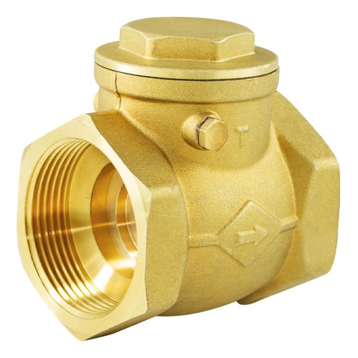 In-Line Check Valve