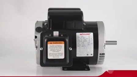 AC Universal Motor