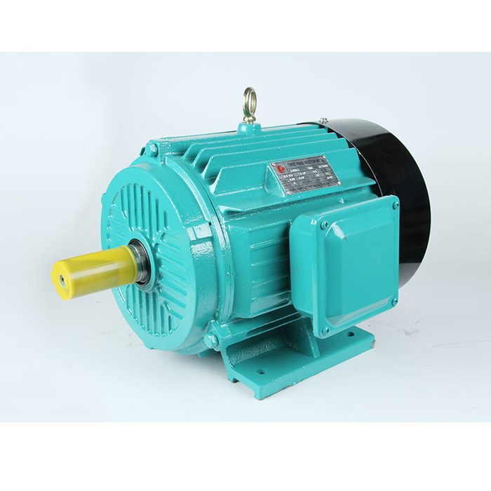 Y series Three-phase squirrel cage induction motor