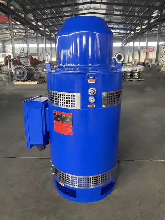 High Power Vertical Hollow AXIS Shaft Electric AC Induction Motor, 15HP-400HP, 3000/3600RPM, 1500/1800RPM
