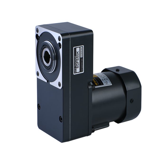 AC Low-Speed Gear Motor