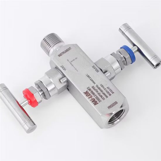 SS316 2 Way Manifold For Pressure Gauge 1/4"