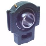 Bearing Unit with Take-up
