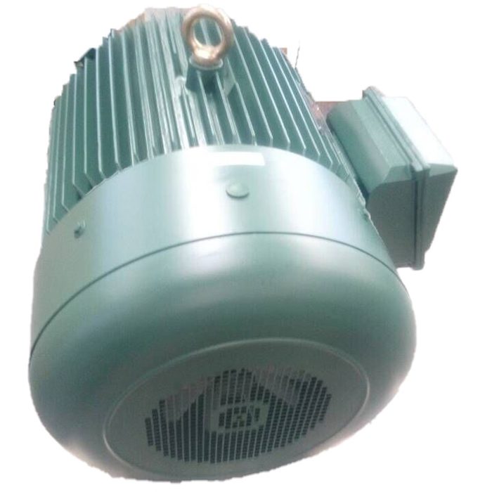 Medium Size Electric DC Motor