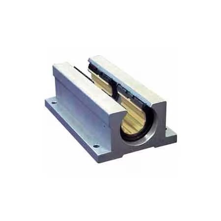DryLin R Closed Twin Pillow Block Straight Bearing