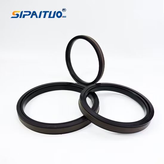 Piston SPG Machine Rotary Shaft Seals