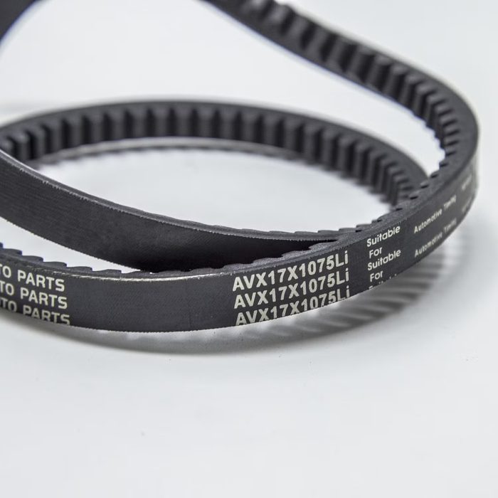 2026 Ribbed Belt