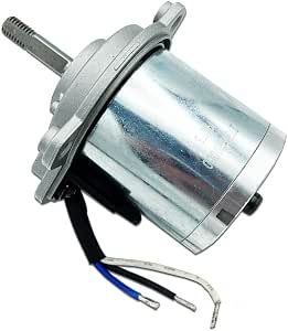 56V BLDC Motor