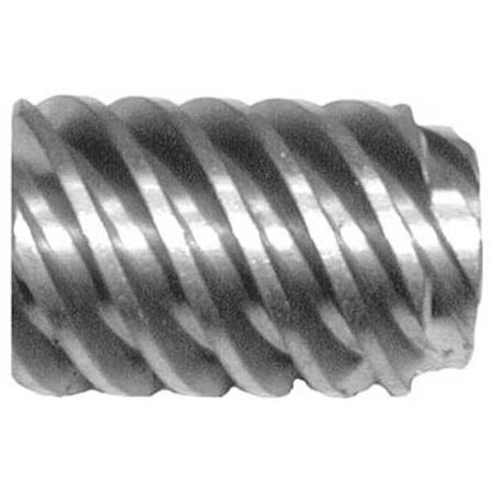 Worm Gear