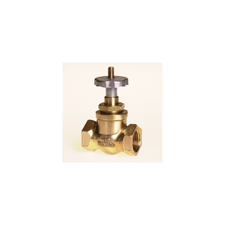 1/2 in. Globe Valve B200F