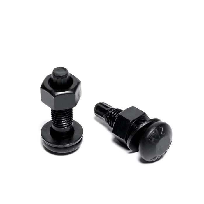 Steel Structural Ts Bolt