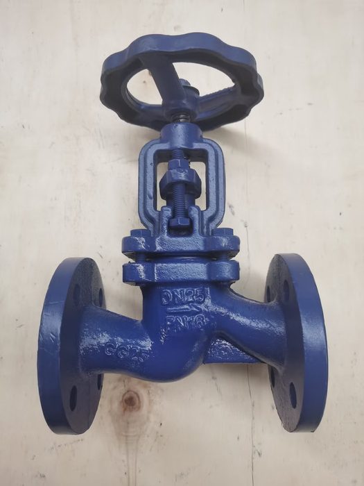 Manual Rising Stem Ductile Iron Globe Valve