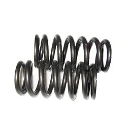 Valve Springs