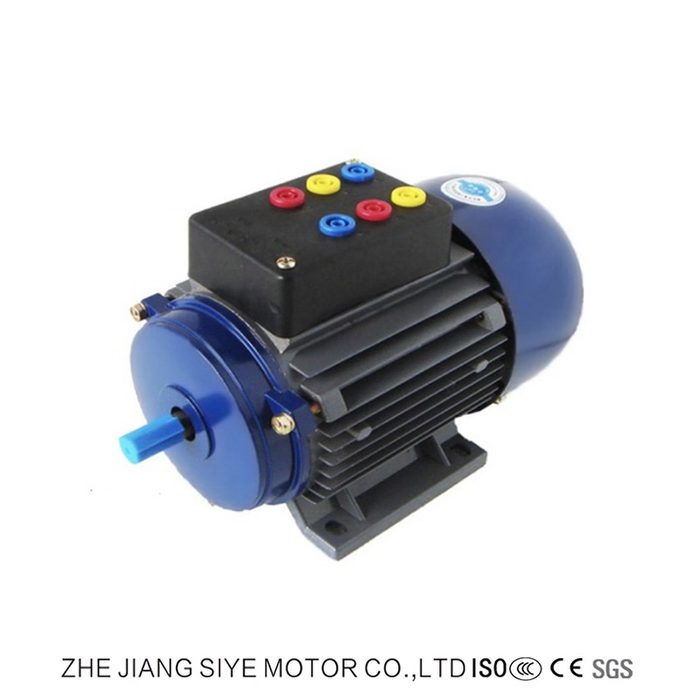 AC Single Phase 110V AC Motor with Low Speed