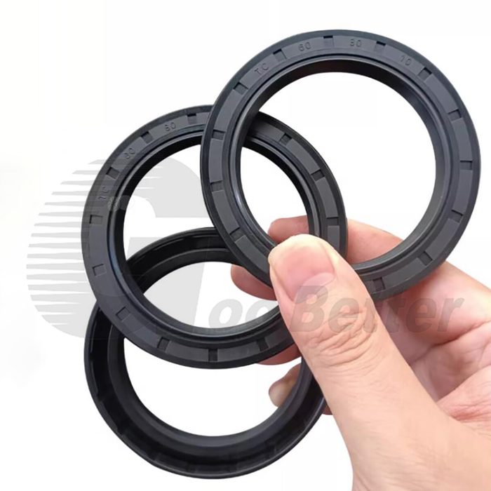 Oil Seal TC Double Lip Spring Rubber