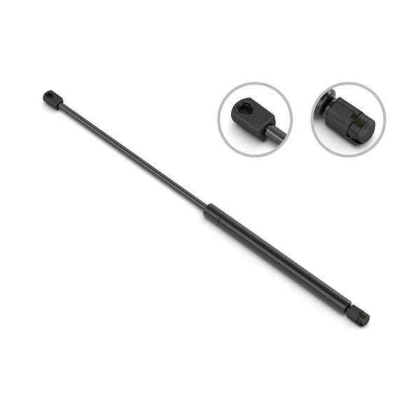 Gas Spring Trunk/Hatch