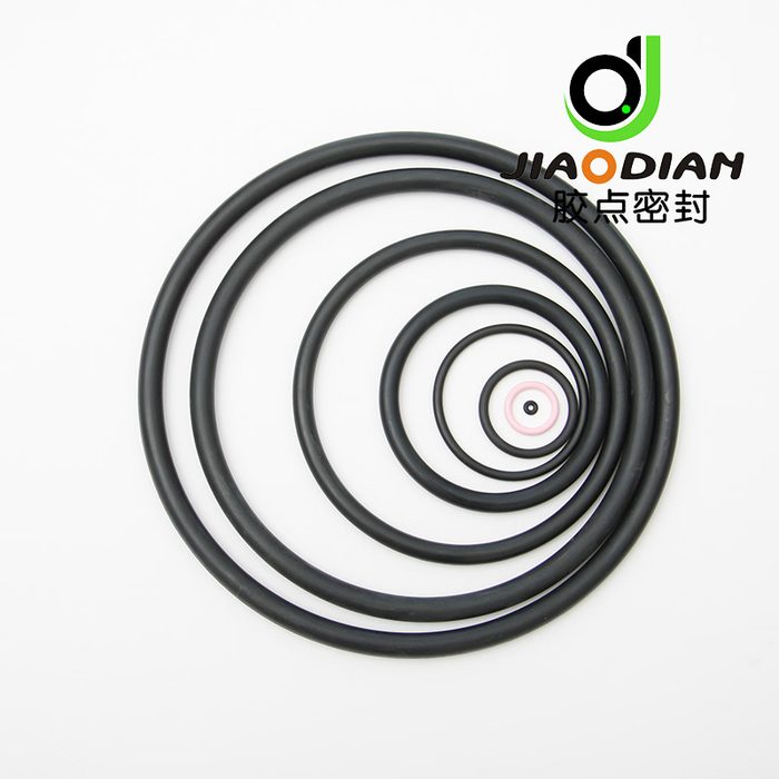 Anti-Explosive Decompression Viton O Ring