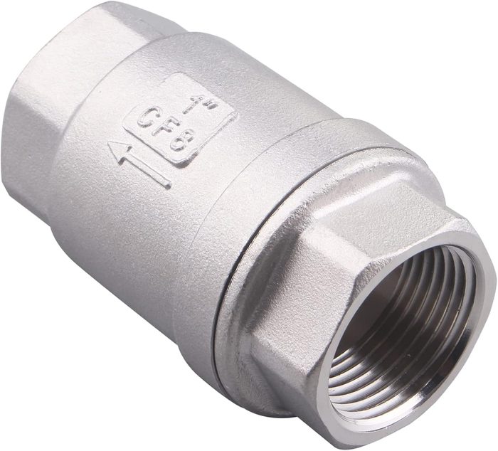 Vertical Check Valve