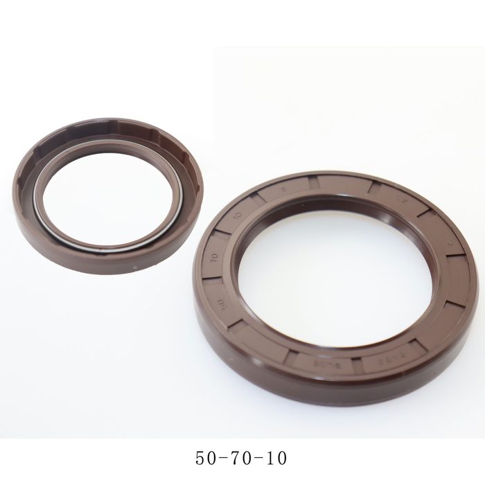 TC NBR FKM Rotary Shaft Oil Seal for Auto Parts
