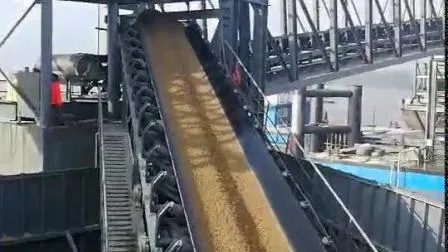 Conveyor Belts