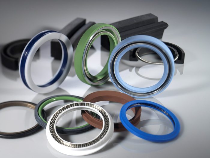 Rotary Internal Seals