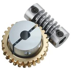 Micro Worm Gear