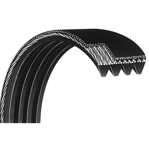 Auto Serpentine Belt 10Pk1660
