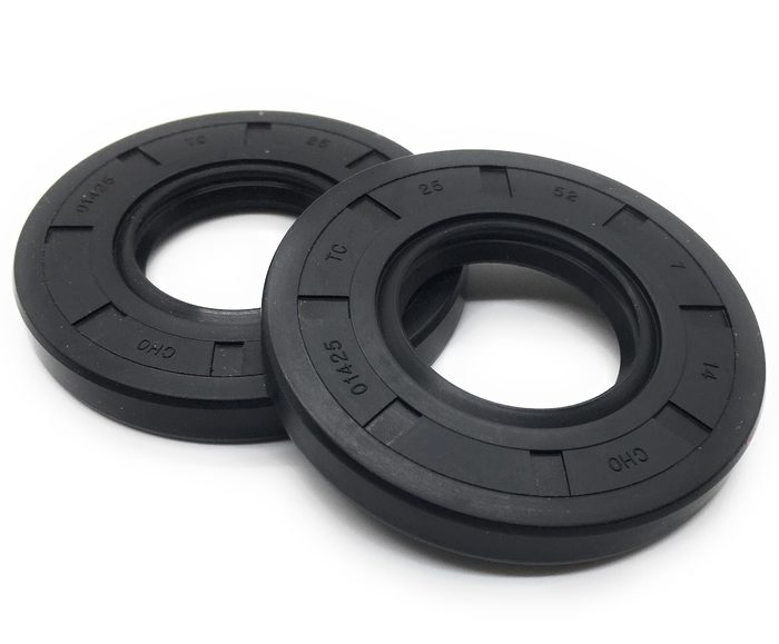 DDS, 2 Lip w/Spring, TC, Rotary Shaft Seal