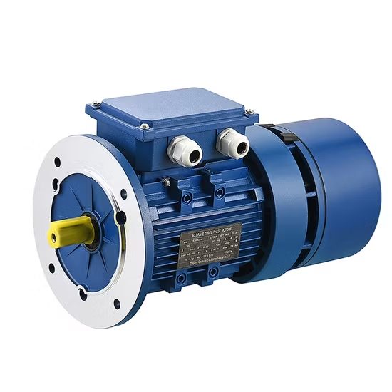 Industrial Electromagnetic Brake Motor
