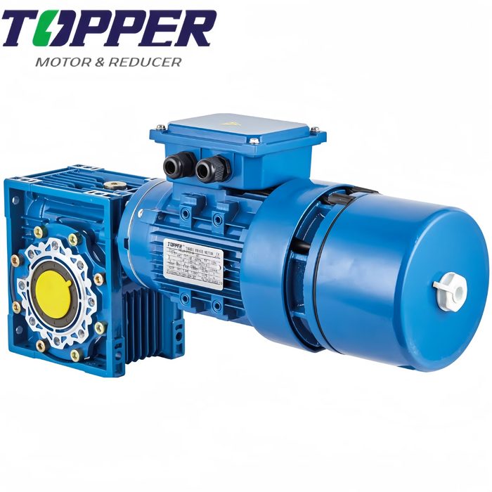 Three Phase Electric Motor Gear Reduction Induction Motor