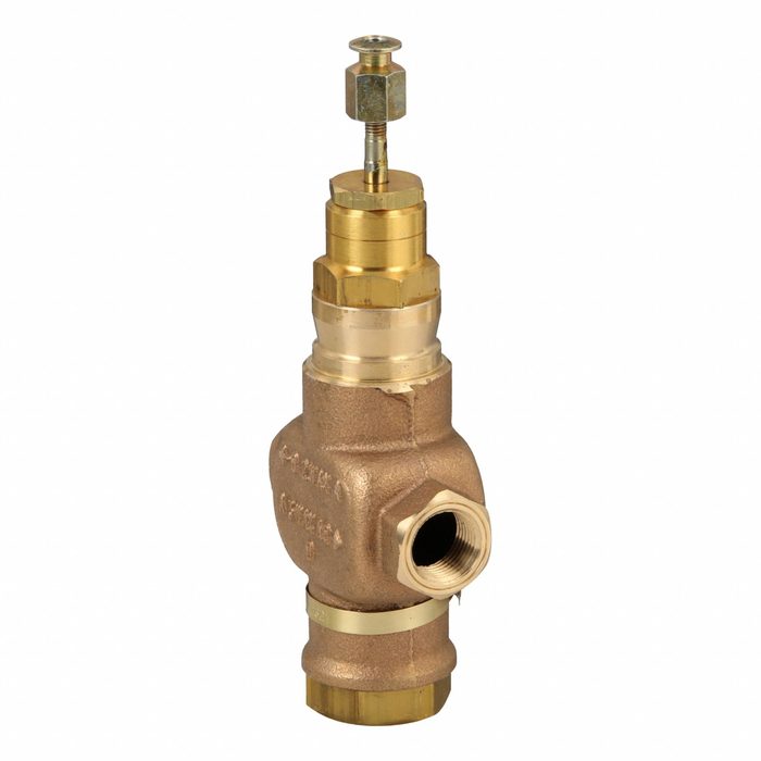 2-Way Hydronic Globe Valve